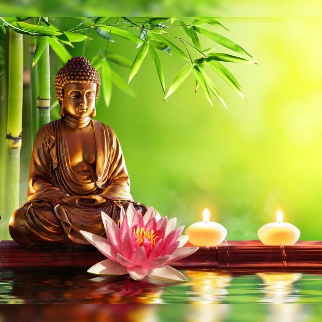 සංසාරයට නැවතුමක් ☸️🙏