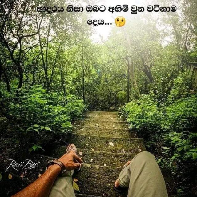 ?✻❂සිහිනයකි ආදරේ❂✻?