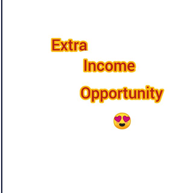 Extra income opportunity?