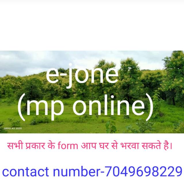 Online form(e-zone )??