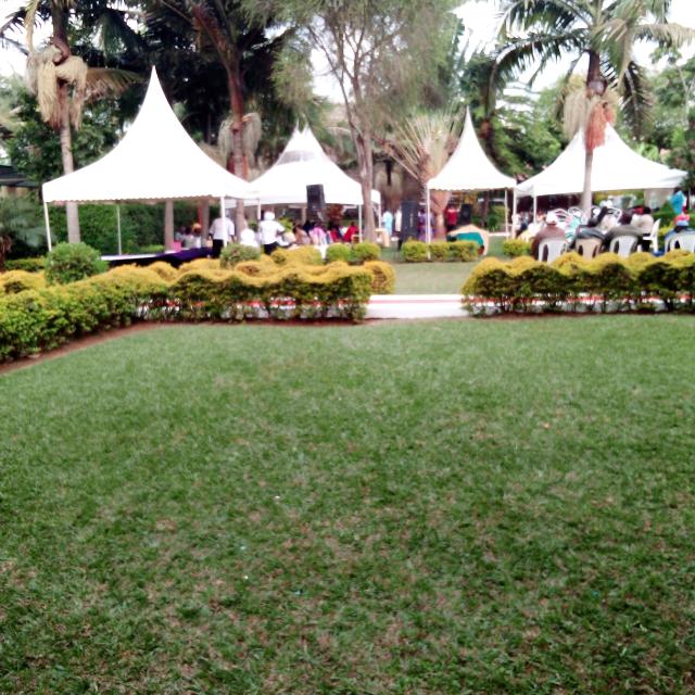 ??Love and money Gangs???