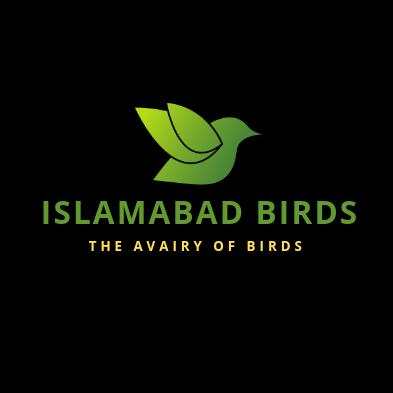 Islamabad._.Birds 🦜