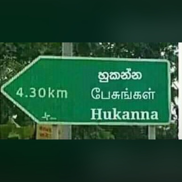 පොල්ගහෙ ගිරව