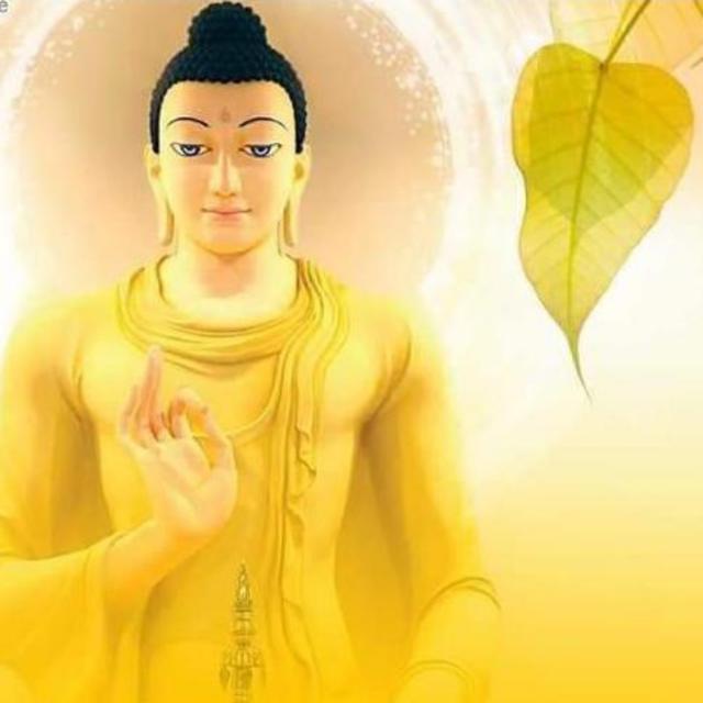 ❉⃟නිර්මල࿔ꦿ?⃝බුදු✥⃟දහම☺️01᭄