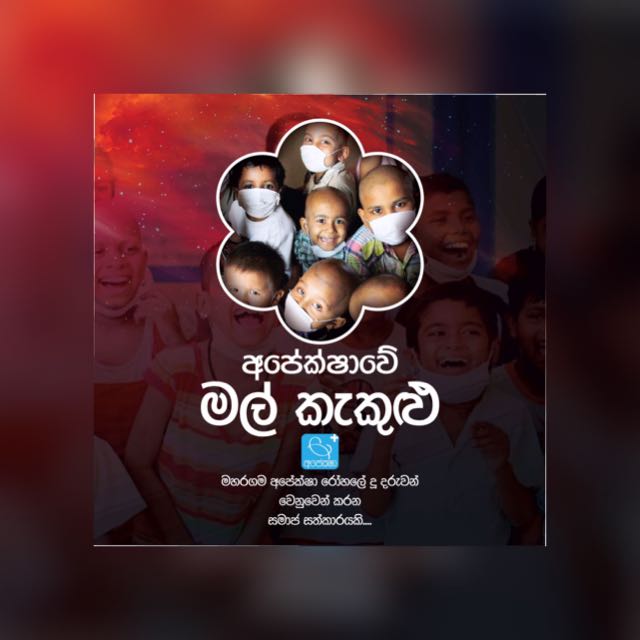 අපේක්ෂාවේ මල් කැකුළු