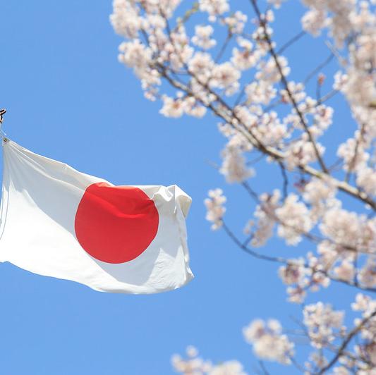 ජපන් භාෂාව ඉගෙන ගනිමු ?