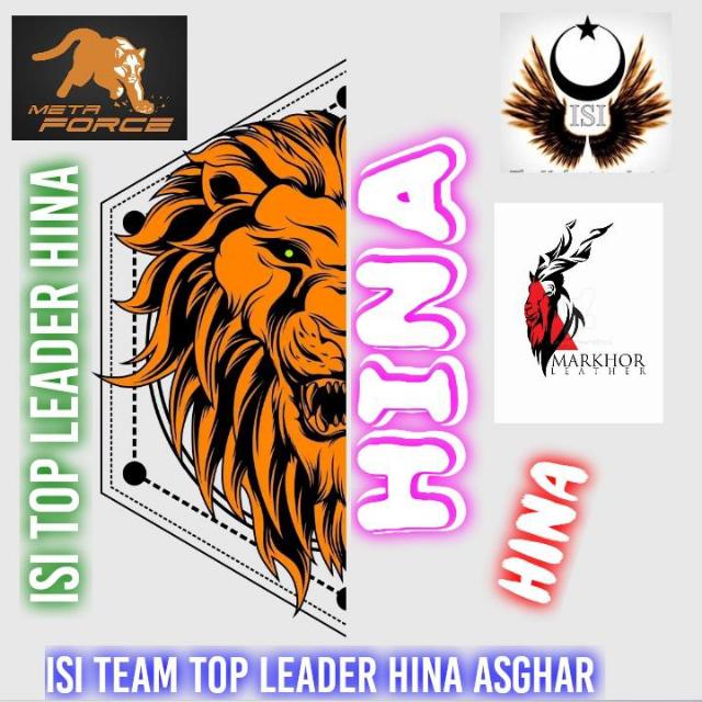 Metaforce great platform