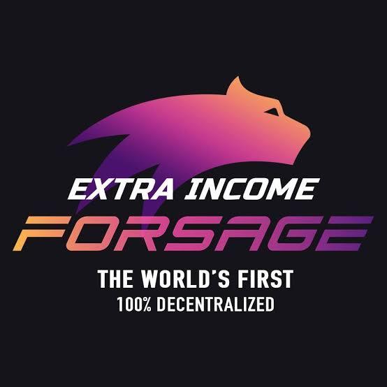 FORSAGE BUSD WITH WASEEM