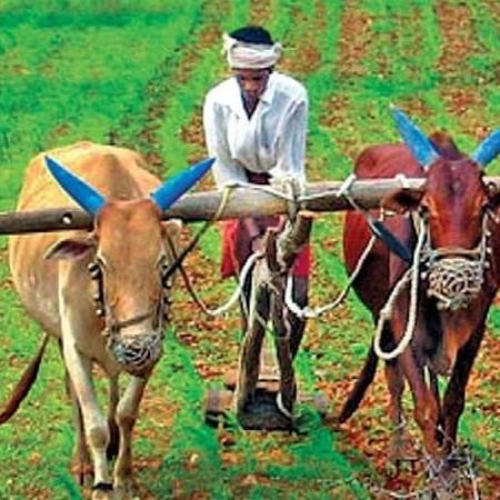 किसान Help 3