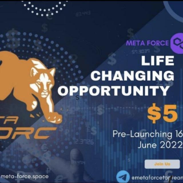 Meta force online work 