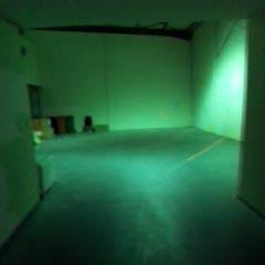 Abandoned_WhiteRabbit