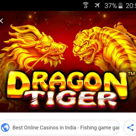 dragon tiger loss cover