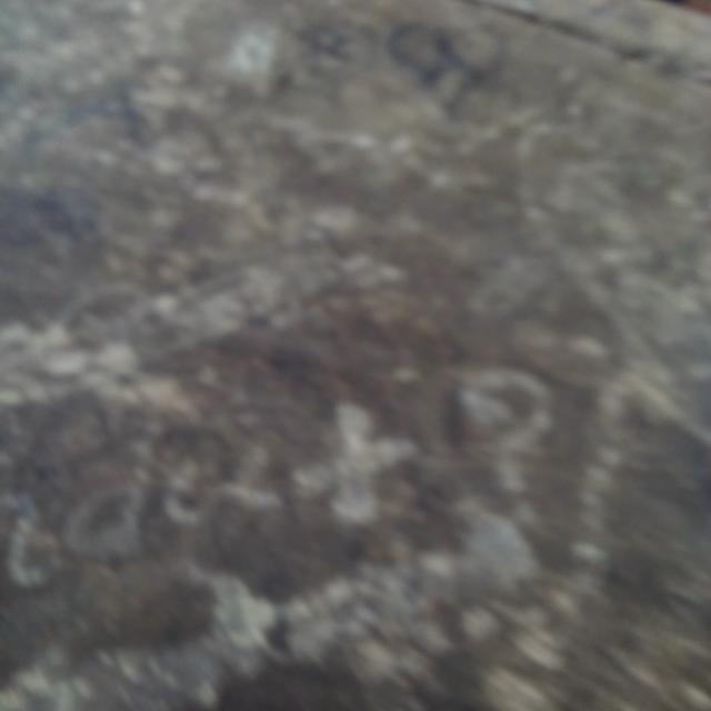 එක්සත් ජාතීන්ගේ ?? ගබඩාව