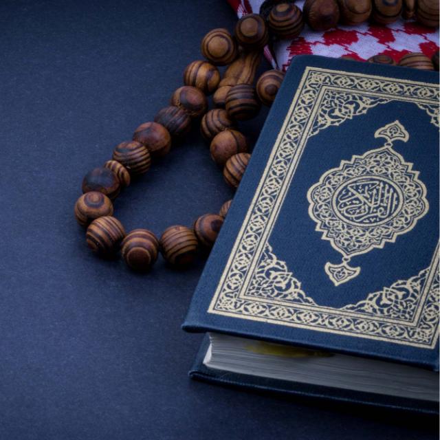 ❣️?????? ????? ℙ??❣️(10)