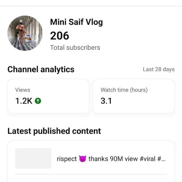 YouTube channel mini saif vlog subscrib