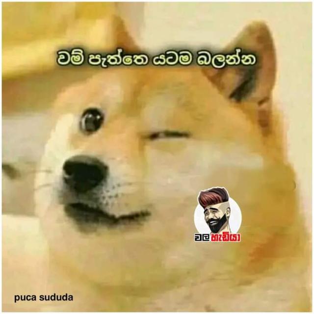 ✥᭄ANY࿔᭄✯⃝GROU࿔᭄LINK??