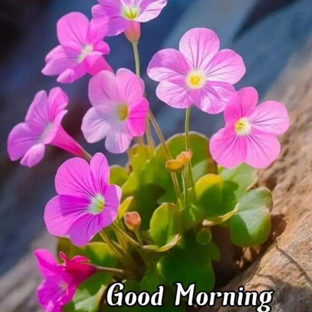 LGBT ka group bahan chod log is group ke