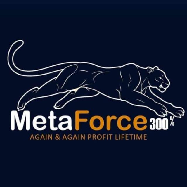 Meta force Team 1