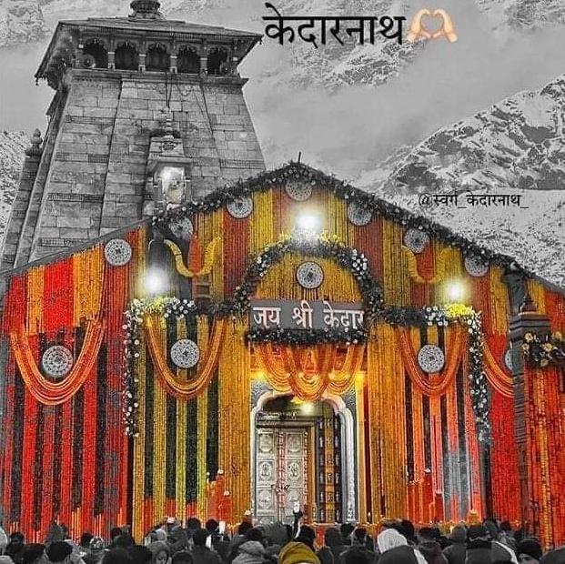 3️⃣6️⃣ JODI CROSSING GROUP