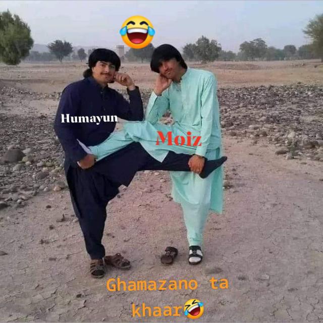🔱 logo hai  🔱