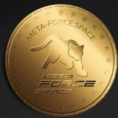 Meta force project