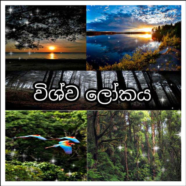 🌅🌎☀️🪐විශ්ව ලෝකය🪐🌎🌅