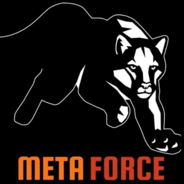 META-FORCE TEAM ALPHA