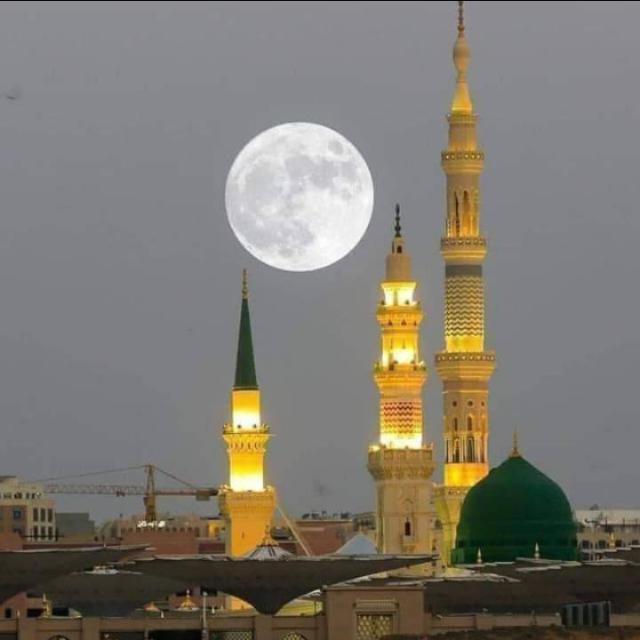 ❤  عاشقانِ مصطفٰی ﷺ ?