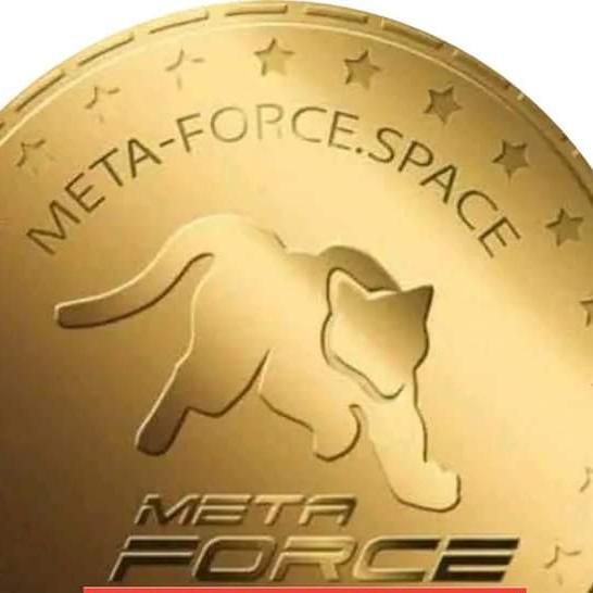 Meta force online earning service