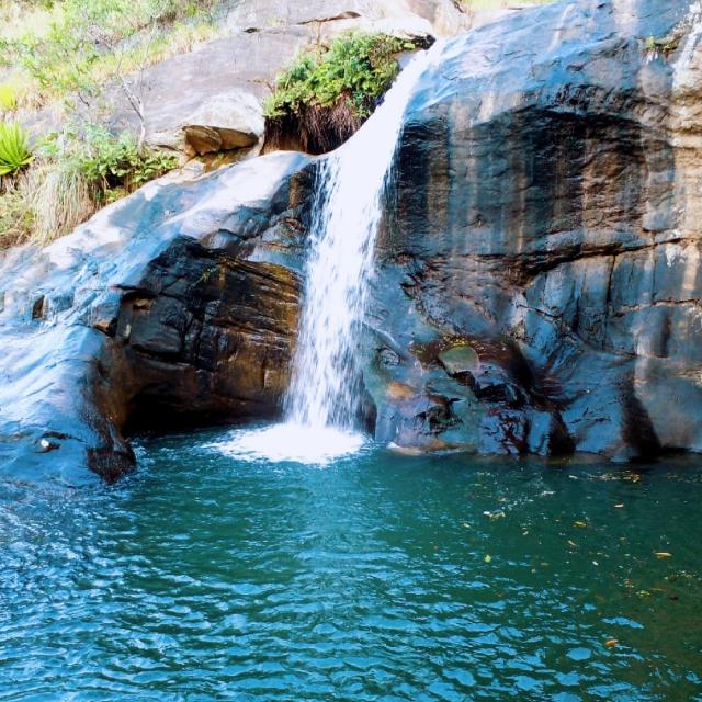 මිතුරු  සමාජය..??