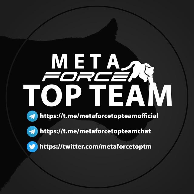 META FORCE TOP TEAM