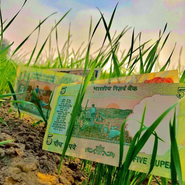 ???????? ???????? ???? ???????