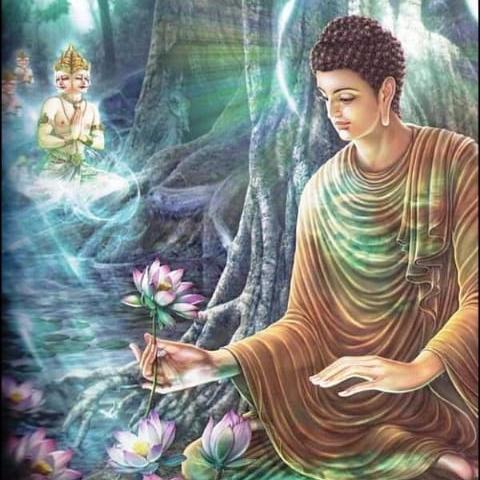 🌼☸️සදහම් පුෂ්පය🌼☸️