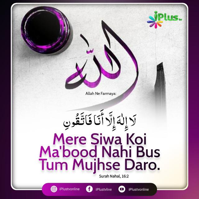 DEENIYAT OFFICIAL 143 ❤️