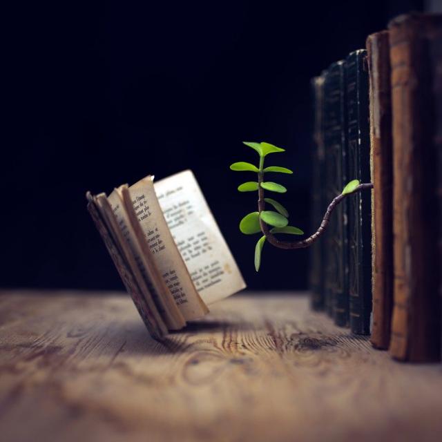 ?දැනුම ලොව ?