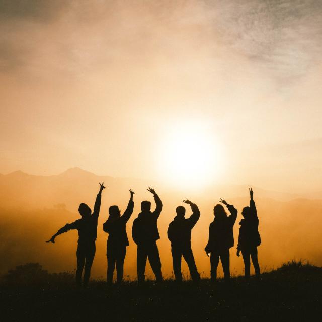 Fit යාලුවෝ ?