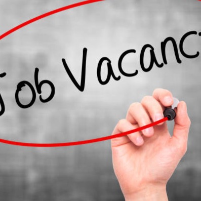 day to Day job vacancy