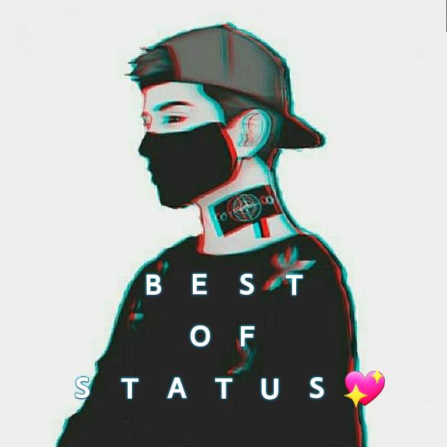 Bᴇsᴛ ᴏғ Sᴛᴀᴛᴜs ?️✨