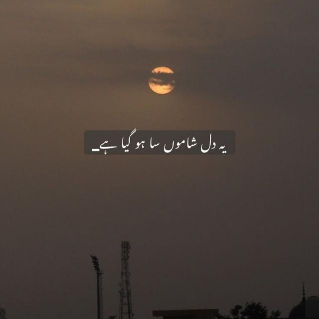 اردو ادب شاعری 🥀🍂