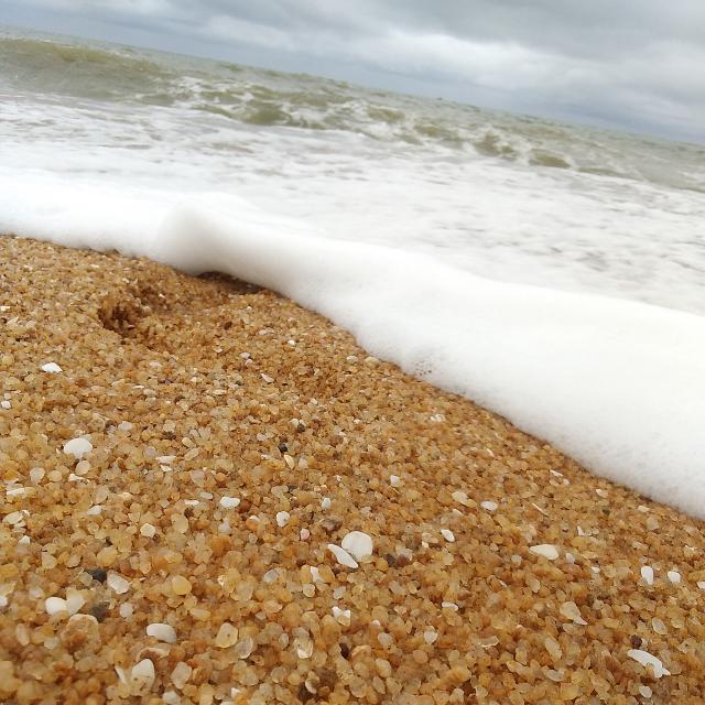 ඕන දෙයක් ???