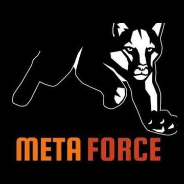 Meta Force Team work 