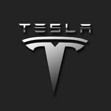 Future Tesla India