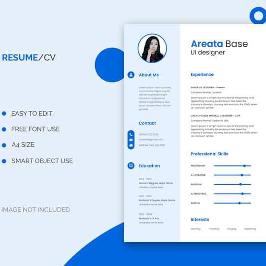 professional CV