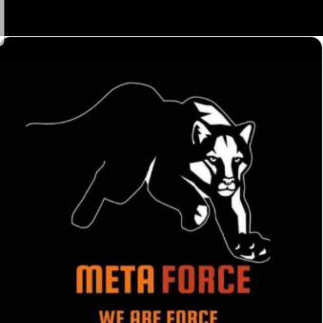 META FORCE ONLINE EARNING