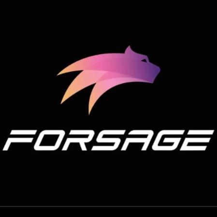 FIRE 🔥FORSAGE TEAM