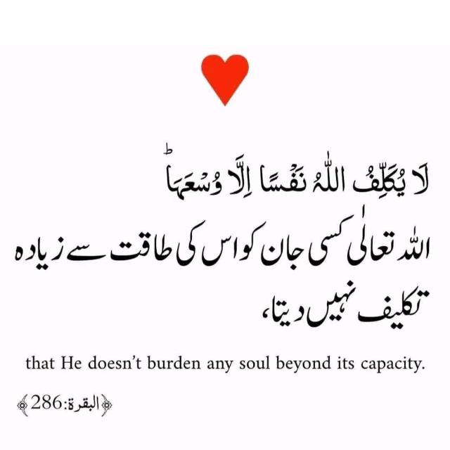 Qur'an & Hadees ❤️