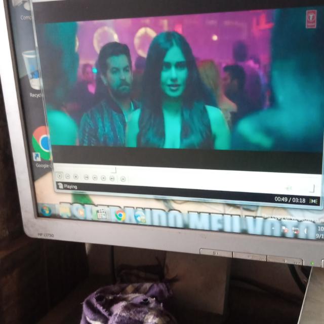 New Enter videos