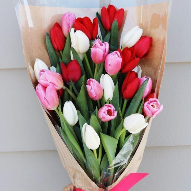 Sewwt WhatsApp group 2022