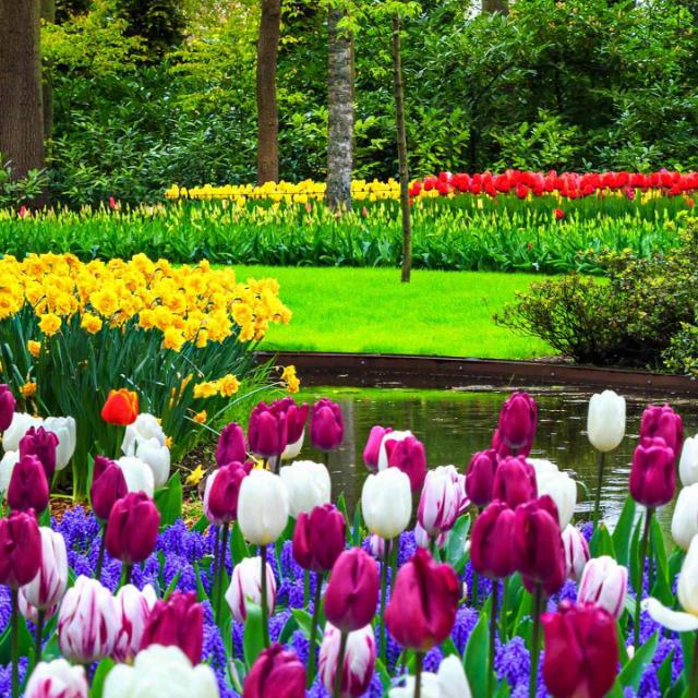 💓real  earning websites💓