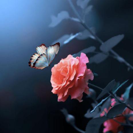 ❤️ ??????  ????? ❤️